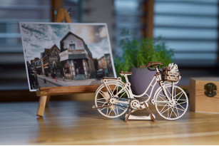 Dutch Bicycle model kit