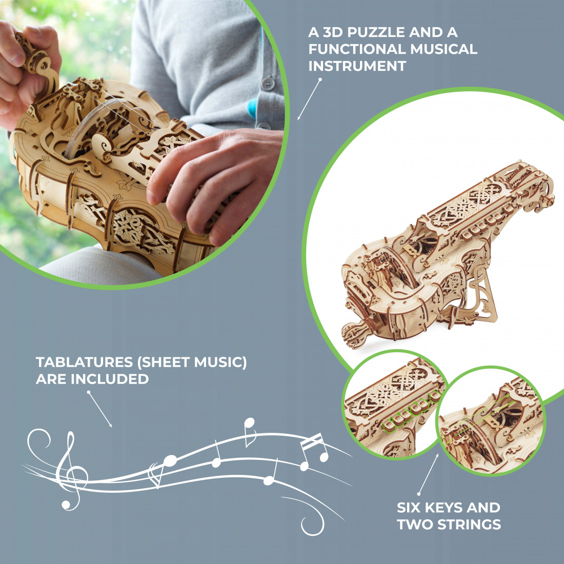 UGEARS Hurdy Gurdy Puzzle en Bois 3D - Instrument de Musique Kit de Modèle  Mécanique en Bois