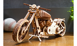 "Bike VM-02" Model